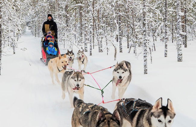 The Iconic Wikkelä Villa - Foto 48