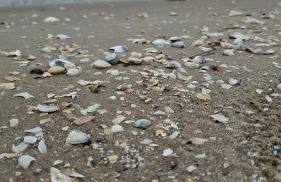 Theunis Ferienwohnung - Foto 6