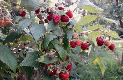 Apartament w Oklinach - Foto 32