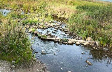 House by the Śliwno-Waniewo footbridge, close to the park - Foto 10