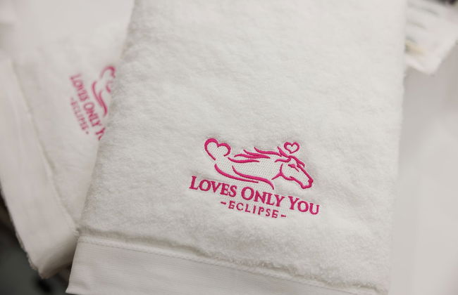 LOVES ONLY YOU【Ezo Fuji Foothills】 - Photo 66