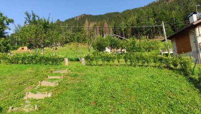 A&J House - Foto 5, Garden