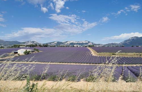 Chez Christine et Marcel - Photo 22