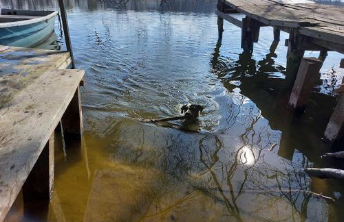 Ferienhaus Altes Kabinett - Foto 6