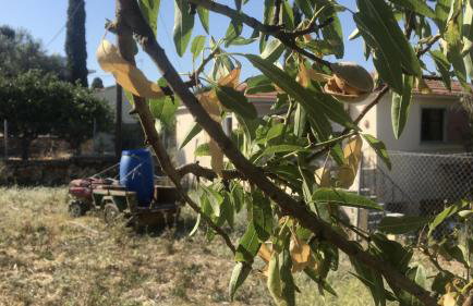 Spacious n comfortable Aloe Vera farm house - Photo 8