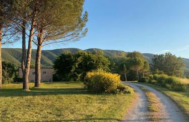 Domaine de la Bastidonne - Foto 72