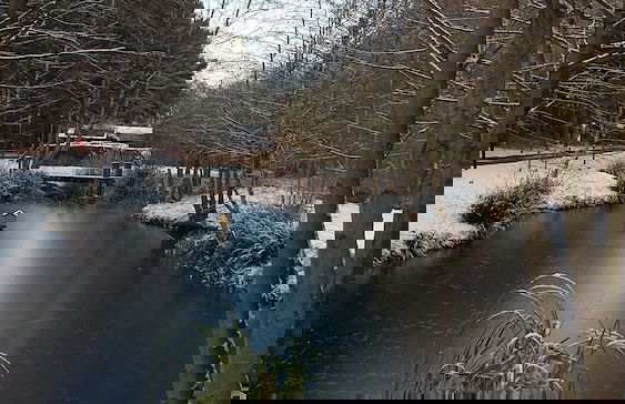 Hollicarrs - Wildflower Lodge - Foto 19