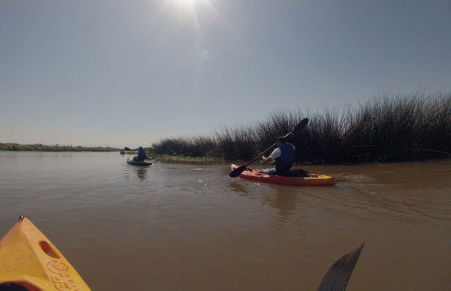 Tramandaí River Kayaking Tour - Photo 3
