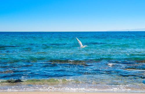 BETTY'S AIR+PORT SEA APARTMENT - Foto 49