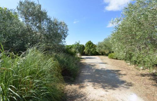 Apartman Marija - Photo 11