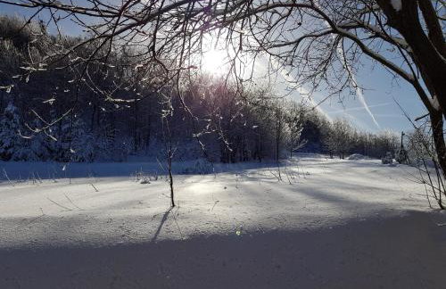 Willa Juszczyn - Foto 9