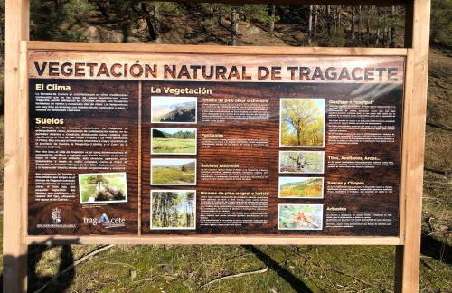 Alojamiento Rural El Morenal - Foto 35