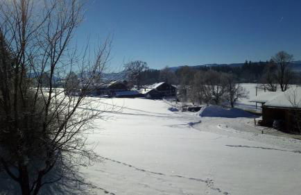 Ferienwohnung Elisabeth - Foto 9