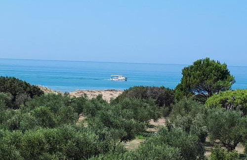 Ktima Βilioni - Foto 39