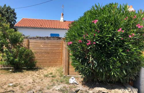 Chez pépé - Photo 19