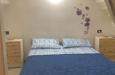 Xenia renting - Foto 61