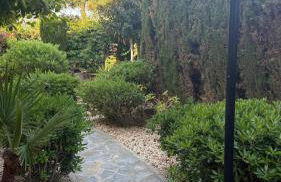 Lobo en Cabo Apartment, Cabo Roig , Orihuela Costa - Photo 34