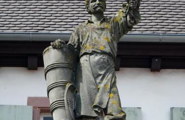 La Maison des Tanneurs - Foto 59