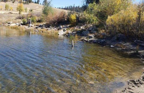 How would it feel to live close to the wildlife in a peaceful cozy cabin - Foto 15