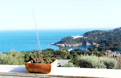 Apartment les oliveres - Foto 18