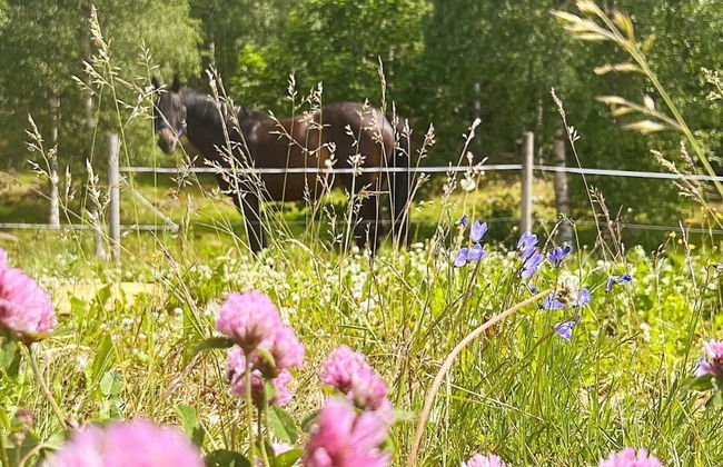 4 Person Holiday Home in Molkom-by Traum - Foto 3