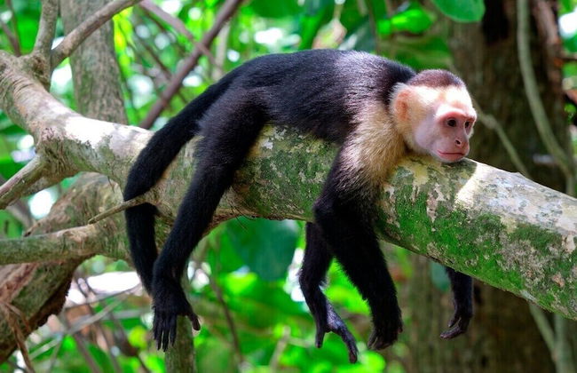 Pura Natura Lodge Arroyo - Foto 58