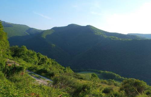 Agriturismo Becerca Vegan - Foto 47