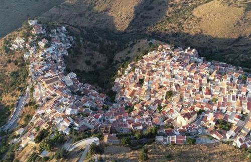 Ioulis Century Home - Photo 78