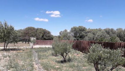 Au Clos des Faysses - Foto 2