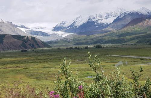 Denali Wild Stay - Moose Cabin, Free Wifi, 2 private bedrooms, sleep 6 - Photo 44