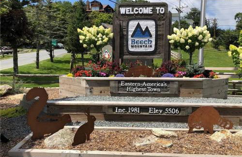 On Top Of Everything at Beech - Foto 56