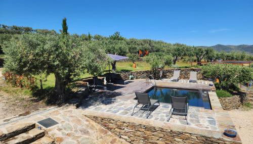 Quinta dos Piscos - Foto 4