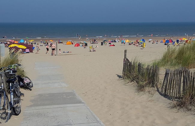 Chic Holiday Home in Noordwijkerhout near Lake - Photo 24