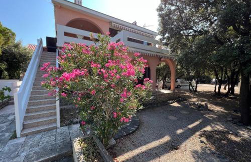 Beach house Šimuni by Pag tours - Foto 1