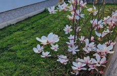 Relax House Samardzic - Foto 26