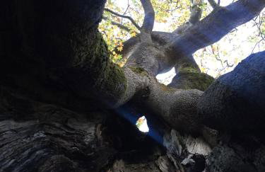 Stephania's Stone House - Foto 38