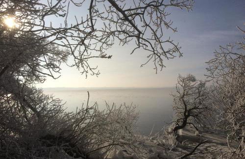 Hoheluft am Wittensee Apt 3 - Foto 23