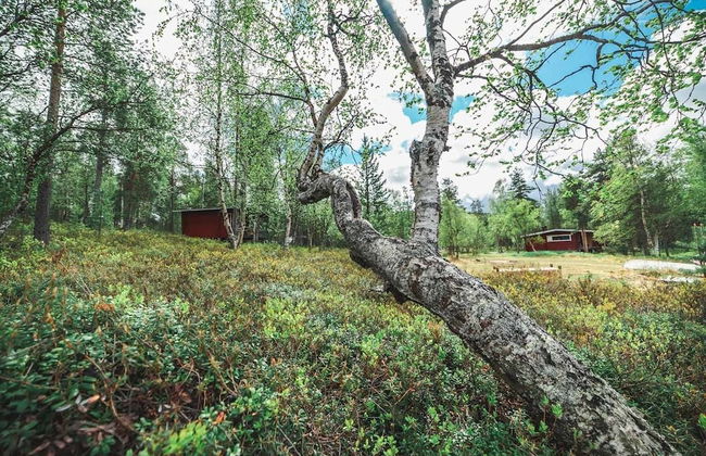 Ukonjärven Holiday Village - Foto 27