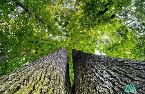 APARTAMENTY SZYNDZIELNIA RODZINNE - 2 SYPIALNIE & BALKON & GÓRY & Parking - TWOJA BAZA WYPADOWA NA SZLAKI i W GÓRY - FAMILY SPACE & BASE - Foto 63