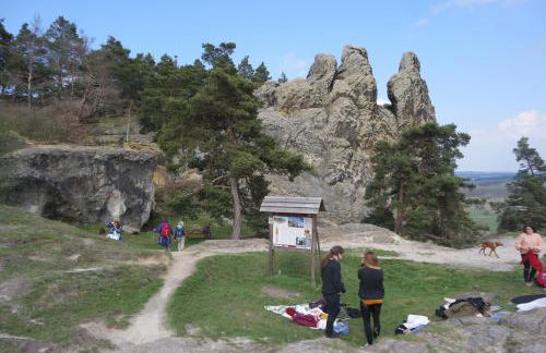 Harzer Feriengarten - Foto 74