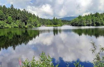 Haus Am Waldesrand - Foto 32