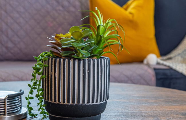 Trendy Historical Home Near Downtown Attractions - Foto 7