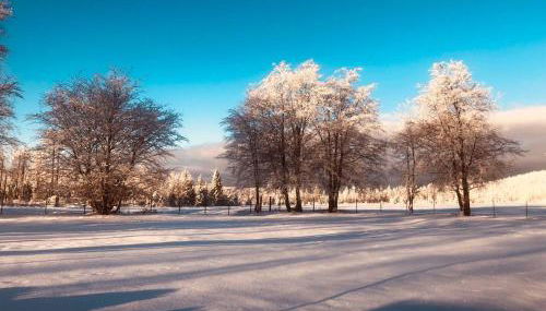 Altes Forsthaus Königskrug - Foto 5, Garden