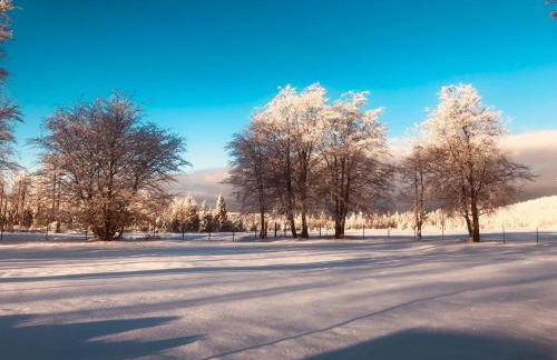 Altes Forsthaus Königskrug - Foto 5