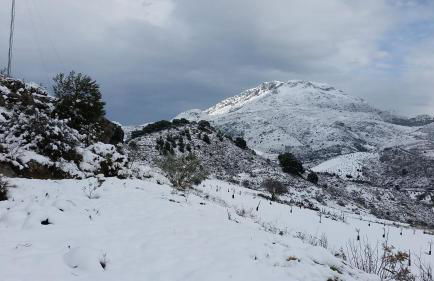 Finca Las Morenas - Foto 35