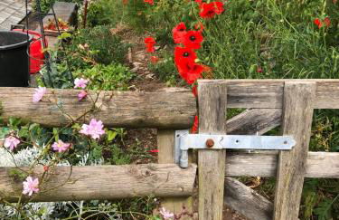 Higher Greenway Annexe - Photo 13