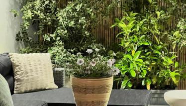 Miltonia Apartment - Foto 5