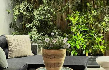 Miltonia Apartment - Foto 3