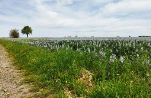 Le Chapitre - Foto 23