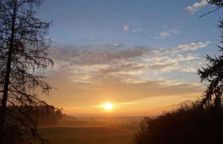Schusterhof Urlaub auf dem Bauernhof - Foto 8